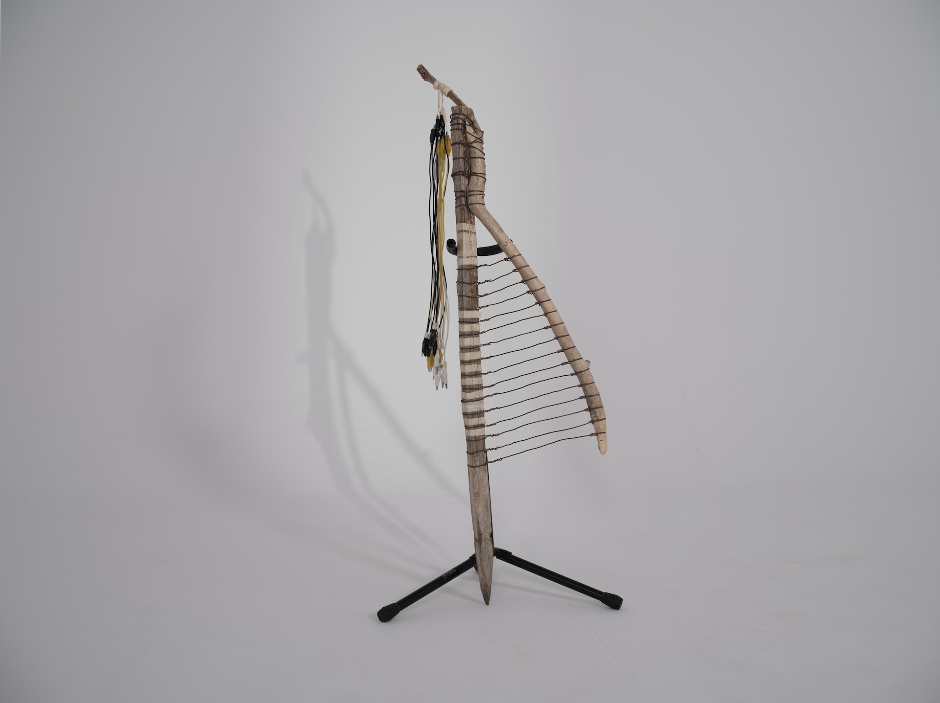 antonycailliau harpe dscf1612